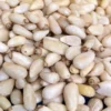 Pine Nuts, Raw Shelled